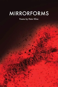Enlarge image Cover: Mirrorforms - Parlor Press, LLC