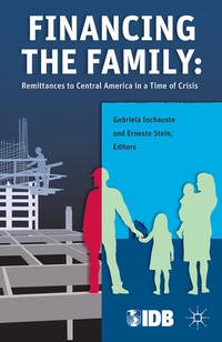 Bild vergrößern Bild: Financing the Family - Palgrave MacMillan