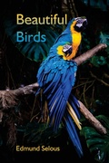 Cover: Beautiful Birds - Alpha Editions