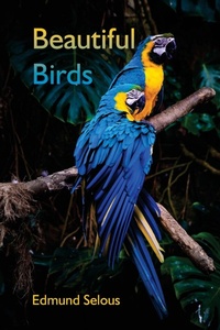 Enlarge image Cover: Beautiful Birds - Alpha Editions
