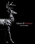 Cover: Colors Of America - Blurb