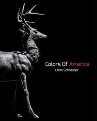 Enlarge image Cover: Colors Of America - Blurb