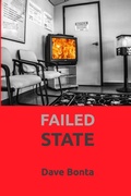 Cover: Failed State - Blurb