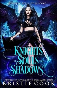 Enlarge image Cover: Knights of Souls and Shadows - Ang'dora Productions, LLC