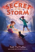 Cover: Secret of the Storm: Volume 1 - Aladdin