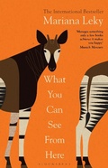 Cover: What You Can See From Here - Bloomsbury Publishing PLC