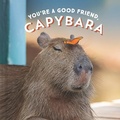 Cover: You're a Good Friend, Capybara - Chronicle Prism