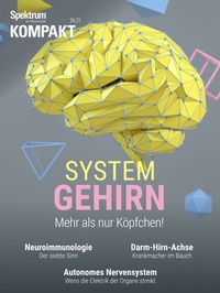 Abbildung von: Spektrum Kompakt - System Gehirn - Spektrum der Wissenschaft
