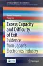 Cover: Excess Capacity and Difficulty of Exit - Springer