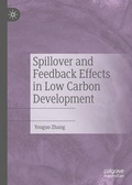 Cover: Spillover and Feedback Effects in Low Carbon Development - Palgrave Macmillan