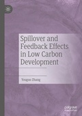 Cover: Spillover and Feedback Effects in Low Carbon Development - Palgrave Macmillan