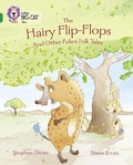 Cover: The Hairy Flip-Flops and other Fulani Folk Tales - Collins