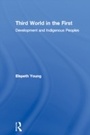 Cover: Third World in the First - Routledge