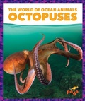 Cover: Octopuses - Pogo Books