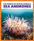 Cover: Sea Anemones - Pogo Books
