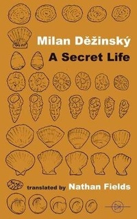 Enlarge image Cover: A Secret Life - Blue Diode Publishing