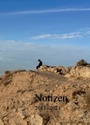 Cover: Notizen - tredition