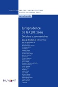 Cover: Jurisprudence de la CJUE 2019 - Bruylant