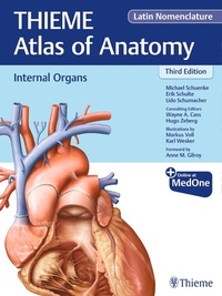 Abbildung von: Internal Organs (THIEME Atlas of Anatomy), Latin Nomenclature - Thieme Publishers