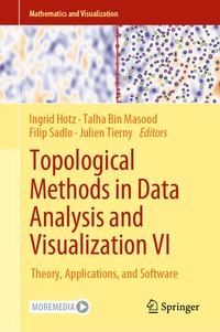 Abbildung von: Topological Methods in Data Analysis and Visualization VI - Springer