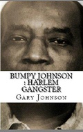 Cover: Bumpy Johnson : Harlem Gangster - Trellis Publishing