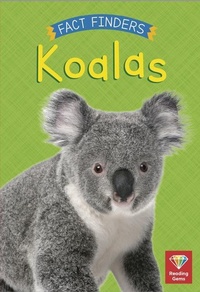 Enlarge image Cover: Koalas - White Lion Publishing