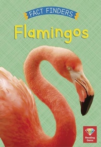 Enlarge image Cover: Flamingos - White Lion Publishing