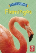 Cover: Flamingos - White Lion Publishing