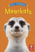 Cover: Meerkats - White Lion Publishing
