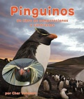 Cover: Pingueinos: Un Libro de Comparaciones Y Contrastes - Arbordale Publishing, LLC