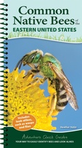 Cover: Common Backyard Bees of the Eastern United States - Adventure Publications, Incorporated