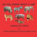 Cover: Do You Know What I Am? - Diamond and Halo Publishing, LLC