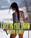 Cover: Lost In The Snow - Trellis Publishing