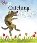 Cover: Catching Flies - Collins