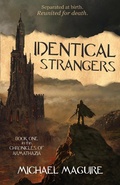 Cover: Identical Strangers - Fractured Mirror Publishing
