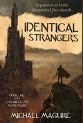Cover: Identical Strangers - Fractured Mirror Publishing