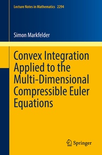 Abbildung von: Convex Integration Applied to the Multi-Dimensional Compressible Euler Equations - Springer