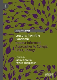 Enlarge image Cover: Lessons from the Pandemic - Palgrave Macmillan