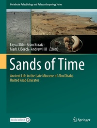 Enlarge image Cover: Sands of Time - Springer