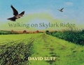 Cover: WALKING ON SKYLARK RIDGE - Fledg'ling Books