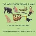 Cover: Do You Know What I Am? - Diamond and Halo Publishing, LLC