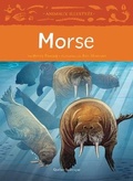 Cover: Morse - Quebec Amerique