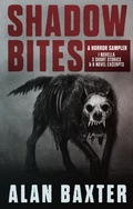 Cover: Shadow Bites - 13th Dragon Books