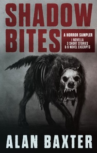 Enlarge image Cover: Shadow Bites - 13th Dragon Books