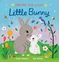 Cover: Little Bunny - Viking Books for Young Readers