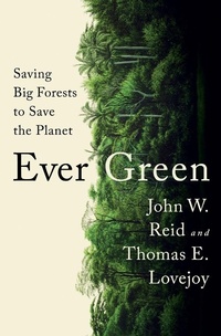Abbildung von: Ever Green: Saving Big Forests to Save the Planet - W. W. Norton & Company