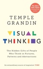 Cover: Visual Thinking - Rider & Co
