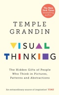 Cover: Visual Thinking - Rider & Co