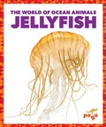 Cover: Jellyfish - Pogo Books
