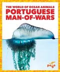 Cover: Portuguese Man-Of-Wars - Pogo Books